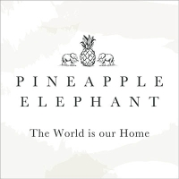 Pineapple Elephant