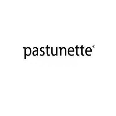 Pastunette Nightwear
